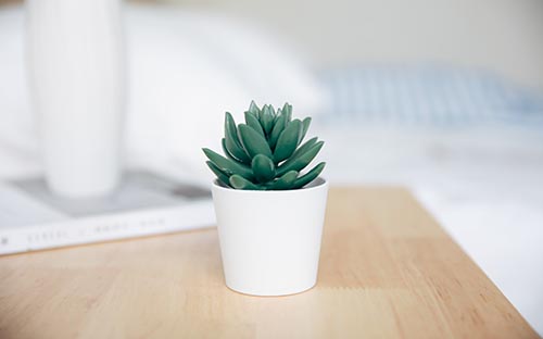 丽水成人高考考试时间是多久? 丽水成人高考考试时间是多久?
