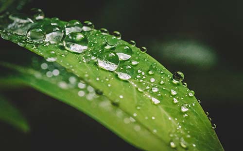自考换专业时应注意哪些事项? 自考换专业时应注意哪些事项?