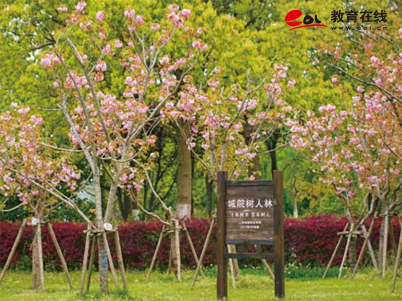 上海城建职业学院继续教育学院校园风光