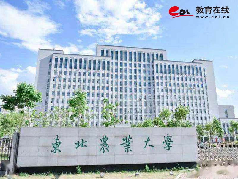 学校校园风光