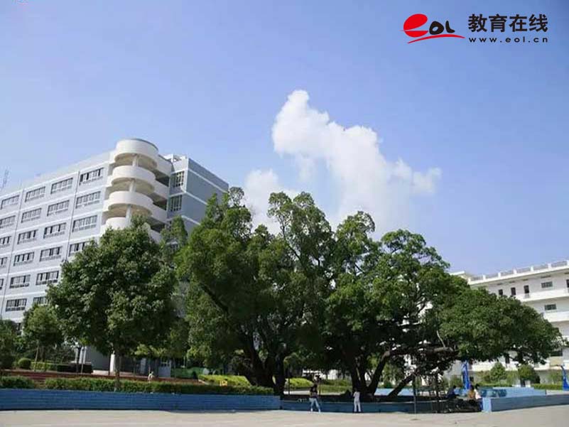 学校校园风光