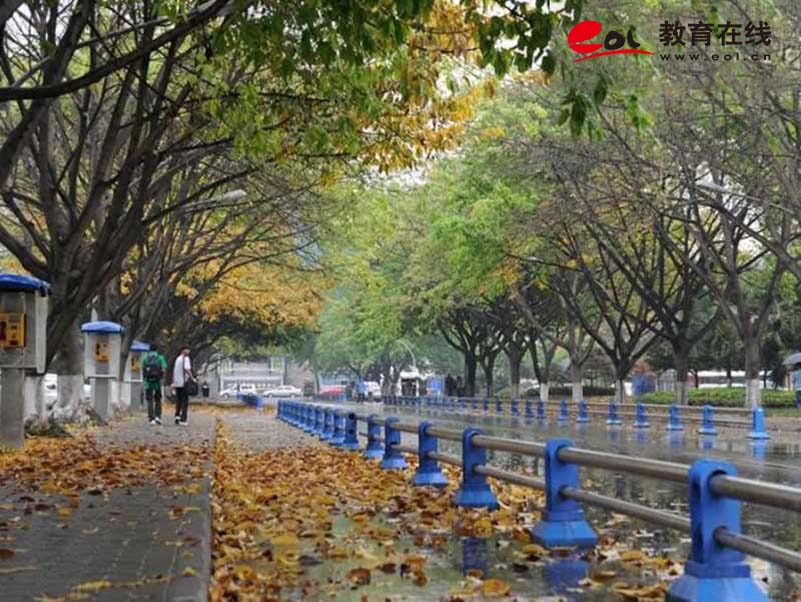 四川大学成人继续教育学院校园风光
