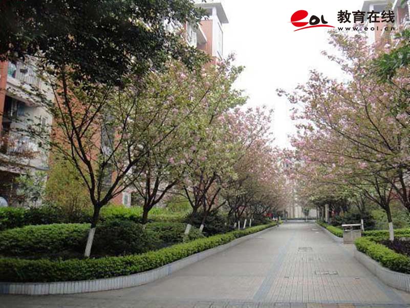 重庆开放大学校园风光