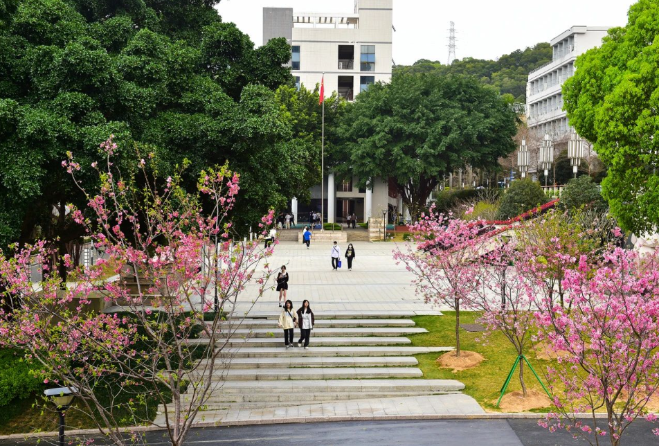 福建开放大学2024年高等学历继续教育招生简章 福建开放大学2024年高等学历继续教育招生简章
