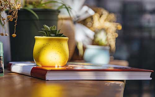 自考学历是全日制吗?与全日制学历有什么不同? 自考学历是全日制吗?与全日制学历有什么不同?