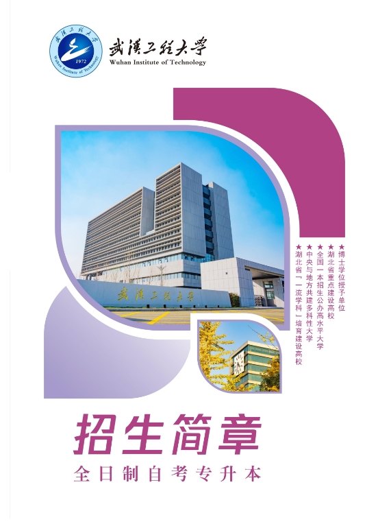 武汉工程大学2025年全日制自考本科（专升本）招生简章