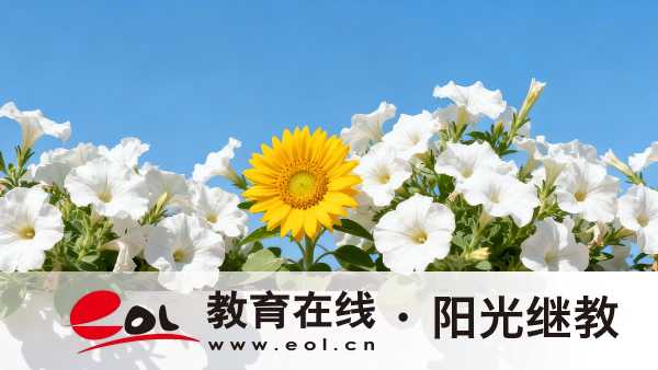 广西成人高考过了就能拿学历证书吗?怎么做好考试准备? 广西成人高考过了就能拿学历证书吗?怎么做好考试准备?
