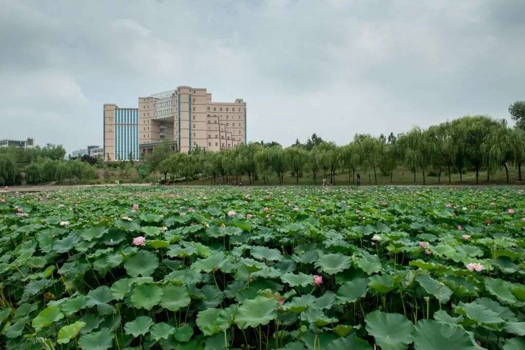 河南工程学院2026年高等学历继续教育招生预告 河南工程学院2026年高等学历继续教育招生预告