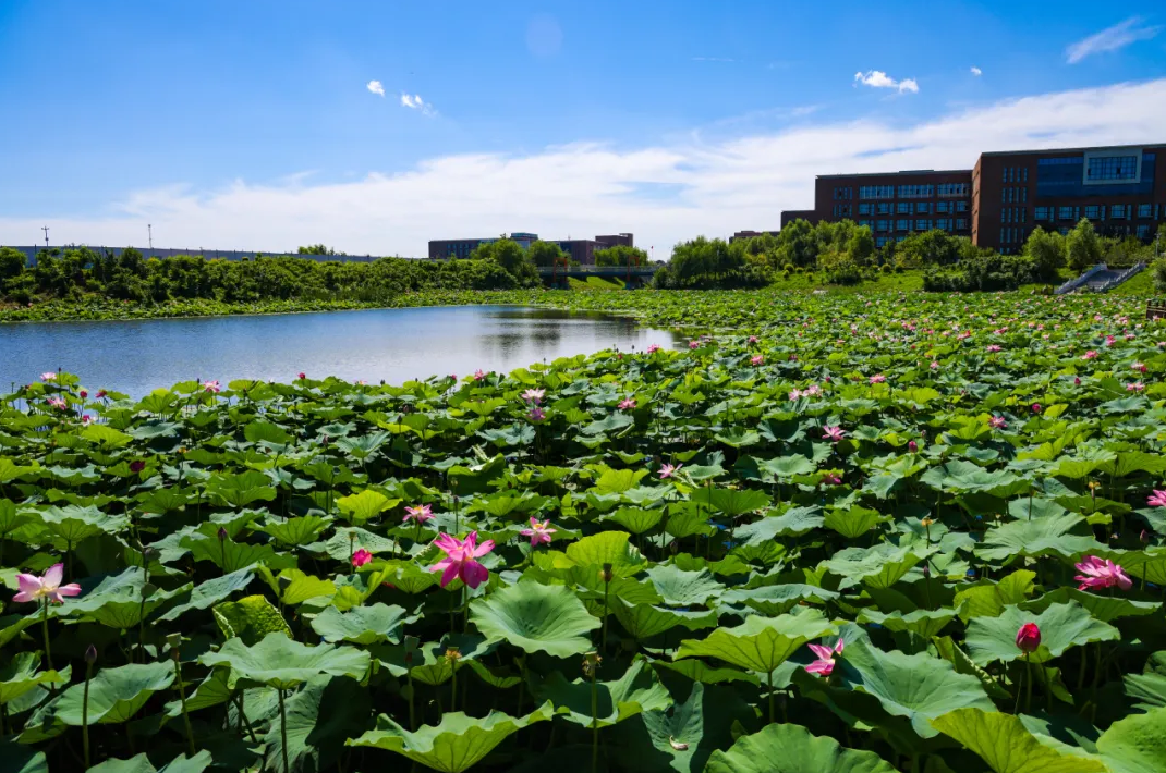 吉林工商学院继续教育学院2026年非脱产学历教育招生简章 吉林工商学院继续教育学院2026年非脱产学历教育招生简章