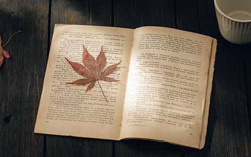 河南成人高考专升本报名费多少钱?有哪些报名要求? 河南成人高考专升本报名费多少钱?有哪些报名要求?