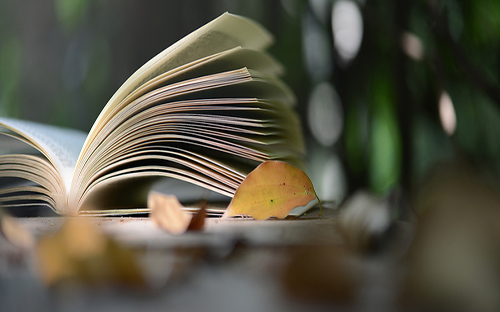 海西开放大学的学历国家承认吗? 海西开放大学的学历国家承认吗?