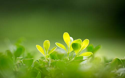 梅州开放大学招生报名官网 梅州开放大学招生报名官网