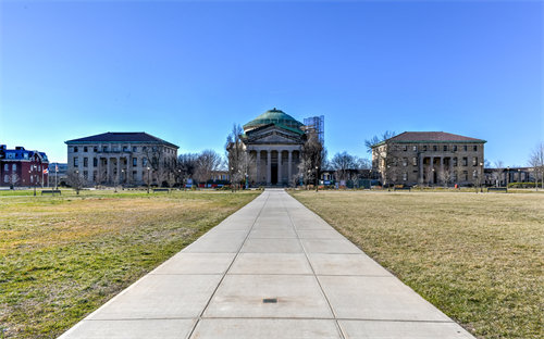 纽约大学