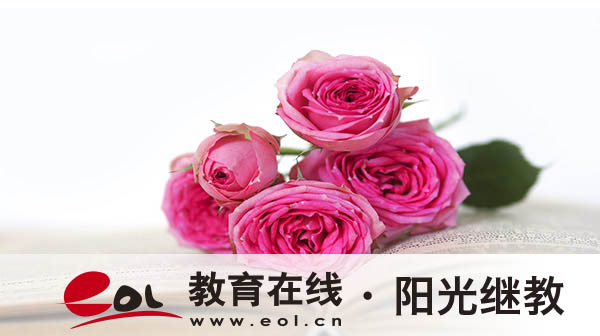 钦州自考官网入口有吗?报名流程是什么? 钦州自考官网入口有吗?报名流程是什么?
